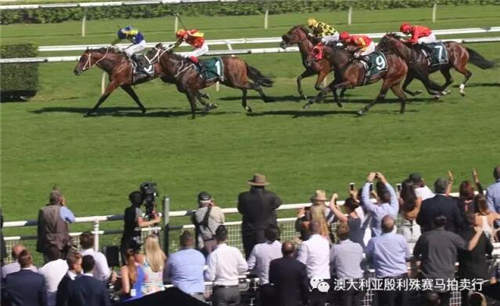 200万赛事奖金赞助,殷利殊持续助力中国赛马!7.jpg