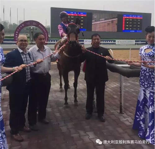 200万赛事奖金赞助,殷利殊持续助力中国赛马!11.jpg