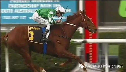 200万赛事奖金赞助,殷利殊持续助力中国赛马!12.jpg