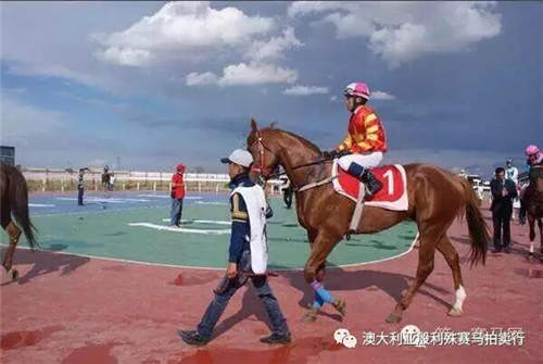 200万赛事奖金赞助,殷利殊持续助力中国赛马!21.jpg