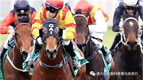 200万赛事奖金赞助,殷利殊持续助力中国赛马!33.jpg