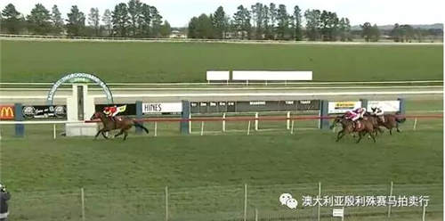 200万赛事奖金赞助,殷利殊持续助力中国赛马!37.jpg