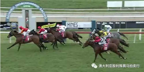 200万赛事奖金赞助,殷利殊持续助力中国赛马!41.jpg