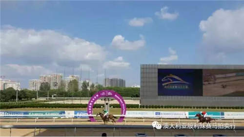 200万赛事奖金赞助,殷利殊持续助力中国赛马!42.jpg