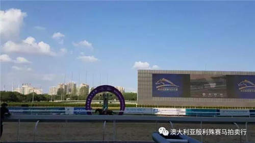 200万赛事奖金赞助,殷利殊持续助力中国赛马!44.jpg