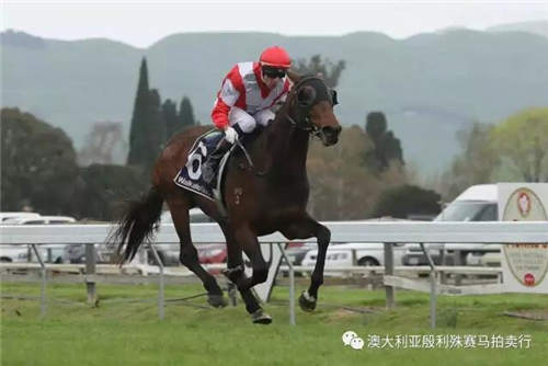 200万赛事奖金赞助,殷利殊持续助力中国赛马!50.jpg