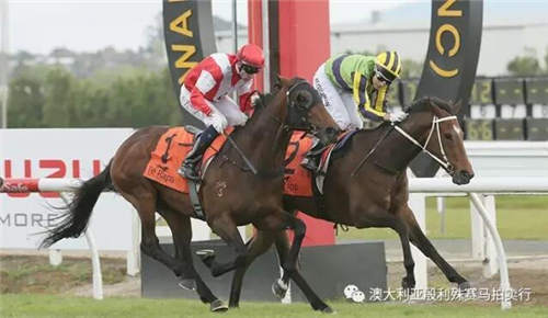 200万赛事奖金赞助,殷利殊持续助力中国赛马!56.jpg