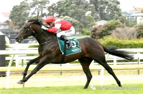 200万赛事奖金赞助,殷利殊持续助力中国赛马!61.jpg