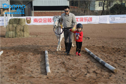 南京金陵马汇肖宁陆：青马乐园让孩子感受马术乐趣