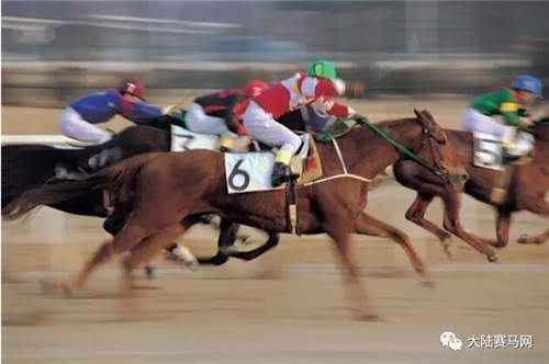 山东淄博产马蹄铁占欧洲高端赛马装备市场8成份额，凭啥？