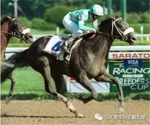 CHC当红种公马巡礼之“赛百灵”:澳大利亚十大种公马之一2.jpg