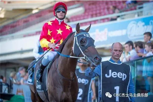 CHC当红种公马巡礼之“赛百灵”:澳大利亚十大种公马之一4.jpg