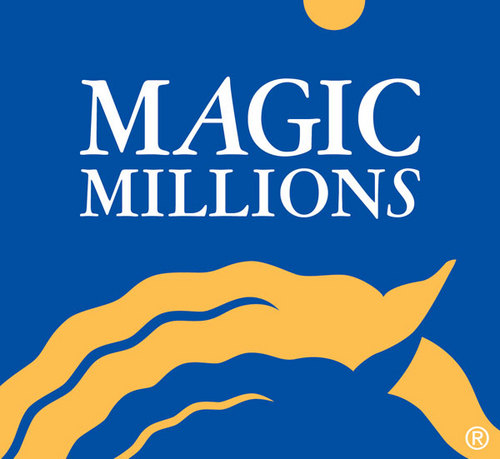 神奇百万赛马拍卖行Magic Millions.jpg