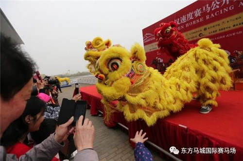 2017年武汉速度赛马公开赛正月十五盛大开锣5.jpg
