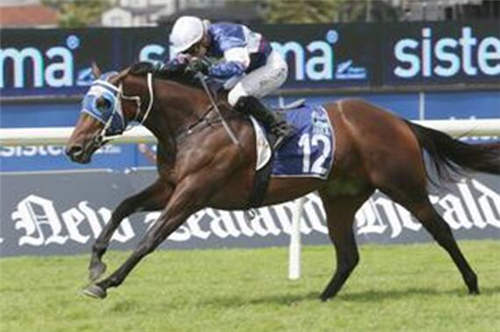 Ruud Not Too连夺新西兰艾勒斯里赛马嘉年华两场冠军.jpg