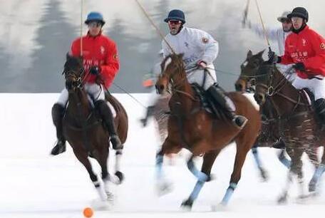 中国香港队胜英格兰 挺进雪地马球世界杯决赛