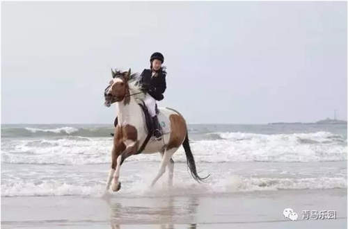 六岁学骑马
、13岁国际马术赛场获佳绩的青岛“马背公主”