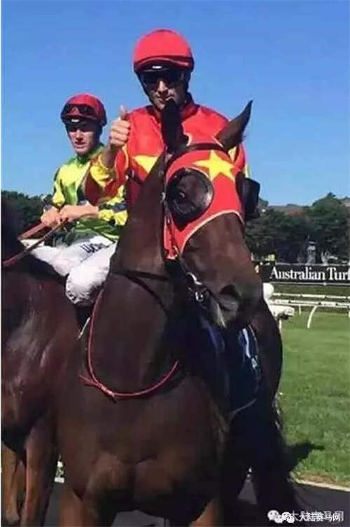 澳洲华人赛马节:CHC100万冠名二级赛,蒙骏赛驹跑获第二5.jpg
