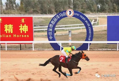 中信莱德嘉丽泽马会2.11元宵节精选赛事欣赏