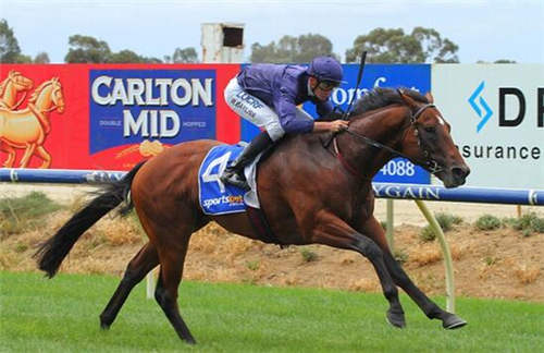 CHC“巴士底堡”处子秀夺冠 将战G1澳大利亚坚尼赛.jpg