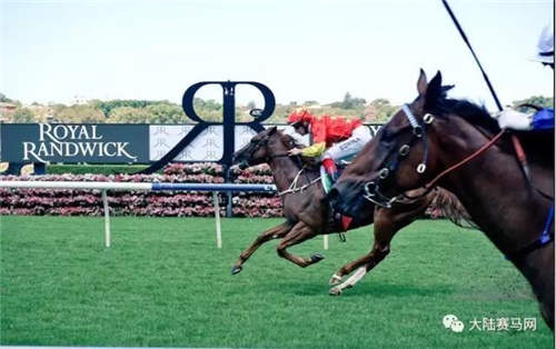CHC昨日澳洲夺双冠:女骑师策骑雌马夺冠,2岁公马有望参加金拖鞋1.jpg