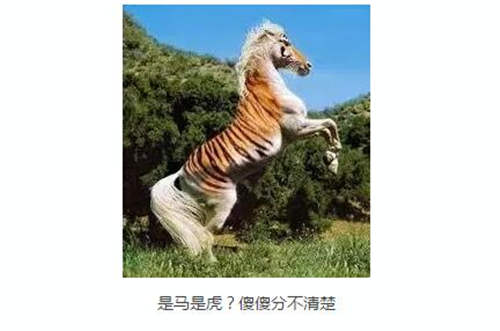 要虎马精神不要马虎!关于马的三个故事你必须知道3.jpg