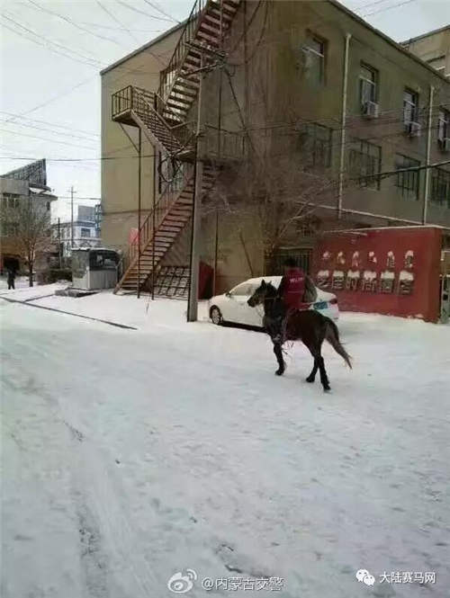 内蒙古突降暴雪 快递员骑马送包裹【图集】2.jpg