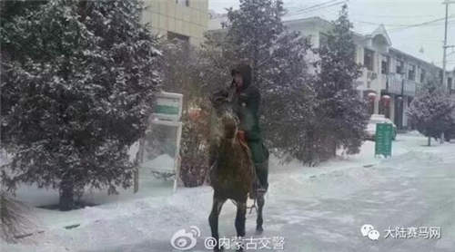 内蒙古突降暴雪 快递员骑马送包裹【图集】3.jpg