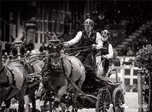 别小瞧驾马车的!这可是国际马联世界杯的参赛项目1.jpg