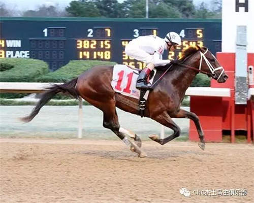 CHC“俏皮话”美国三级赛夺冠 向肯塔基打吡迈进一步1.jpg