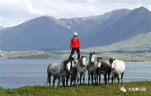 你知道一个马术骑手的一天是怎么度过的么?5.jpg