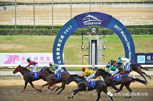 河北东兴“百万金锤”一骑绝尘摘得武汉“乐在马城”首冠