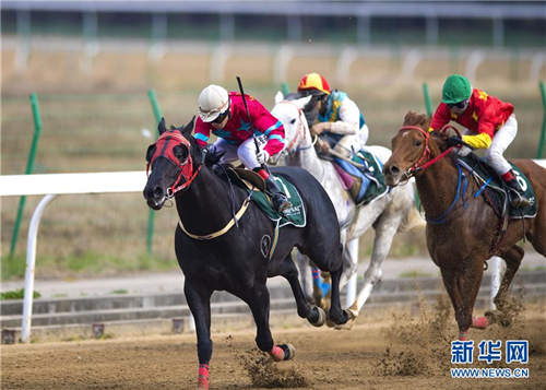 2017武汉速度赛马公开赛举行“乐在马城”主题赛
