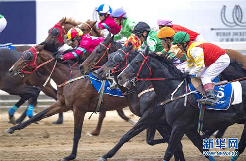 2017武汉速度赛马公开赛举行“乐在马城”主题赛3.jpg