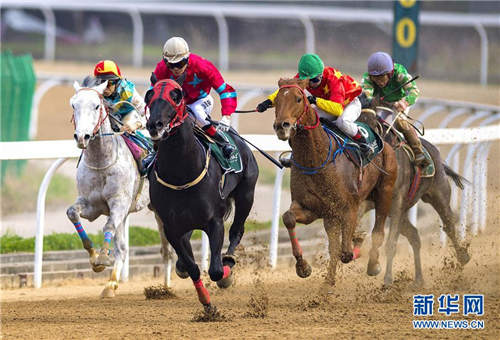 2017武汉速度赛马公开赛举行“乐在马城”主题赛4.jpg