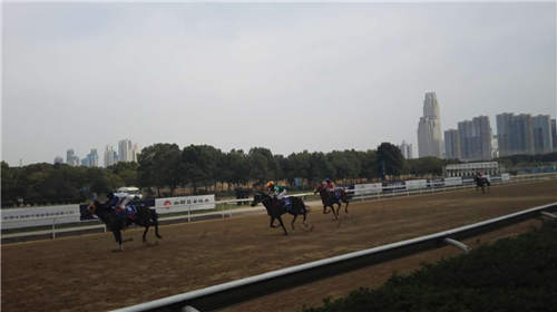 “乐在马城”主题赛马日盛大开锣59匹精英赛驹酣畅激战