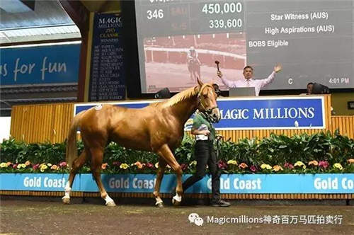 黄金海岸两岁受训马拍卖会将于10月10、11日进行1.jpg