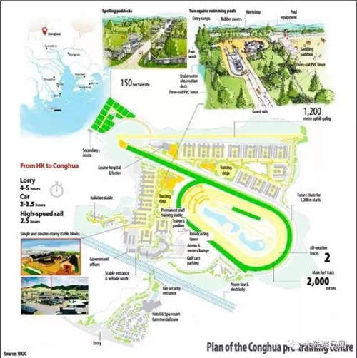 香港想让赛马“在大陆扎根”:2018年从化将至少有200匹香港赛马2.jpg