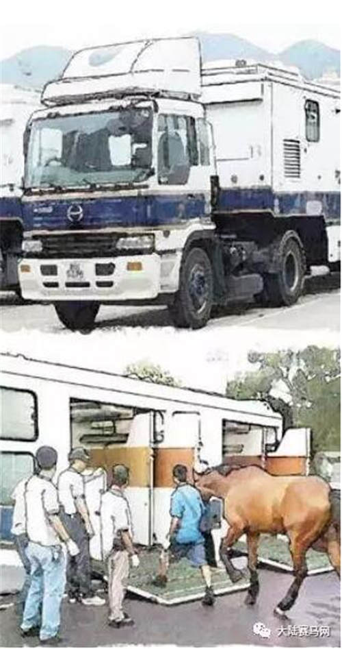 香港想让赛马“在大陆扎根”:2018年从化将至少有200匹香港赛马3.jpg