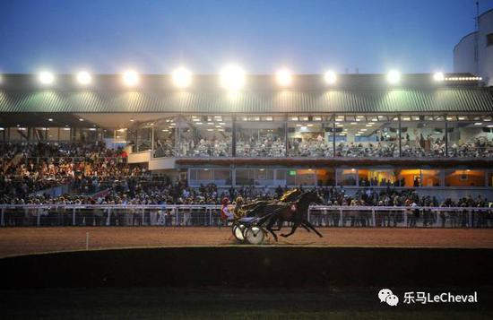 242个马场70万注册骑手!法国马主题小镇连连看10.jpg