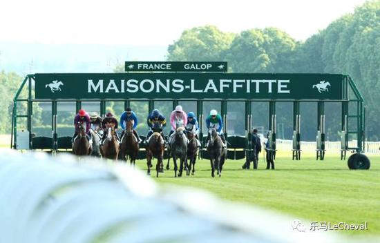 242个马场70万注册骑手!法国马主题小镇连连看23.jpg
