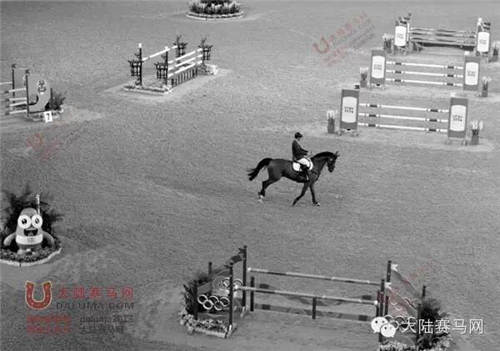 你真的可以参加奥运会 《2018阿根廷青奥会马术骑手选拔办法》11.jpg