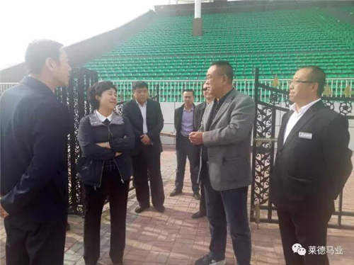 内蒙古工商局长陈洁赴莱德马业调研:做强马产业 打造马品牌3.jpg