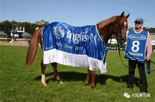 CHC和AQUIS雅士联合拥有的“占领者”勇夺100万澳币G1冠军1.jpg