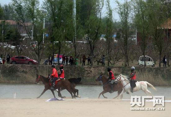 2017全国马术耐力赛在黄河故道开跑