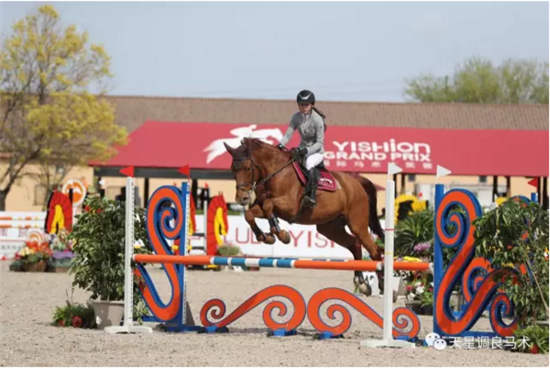 国际骑手获胜不易:FEI二星级金伯乐&天星调良场地障碍赛第二日战报4.jpg