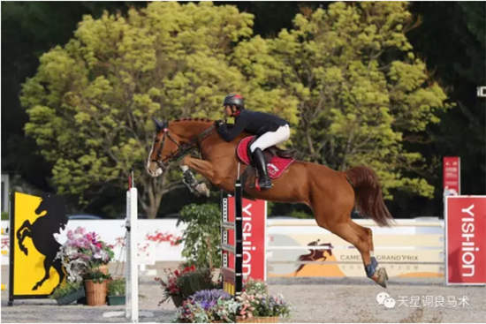 国际骑手获胜不易:FEI二星级金伯乐&天星调良场地障碍赛第二日战报5.jpg