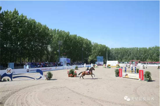 国际骑手获胜不易:FEI二星级金伯乐&天星调良场地障碍赛第二日战报7.jpg