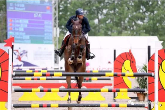 骑手,竞技,2017,FEI星级,马术09.jpg