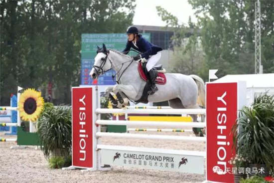 骑手,竞技,2017,FEI星级,马术10.jpg
